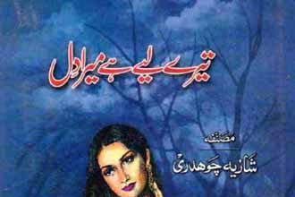 Tere Liye Hai Mera Dil Urdu Novel By Shazia Chaudhary