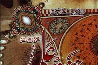 Hazrat Ali Islamic Urdu Book By Dr Taha Hussain