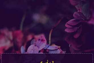 Sirat e Ishq Episode 6 by Dilshaad Naseem Free Download