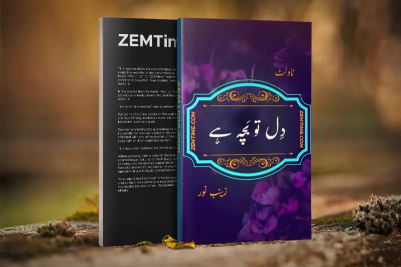 Dil To Bacha Hai Novel by Zainab Noor