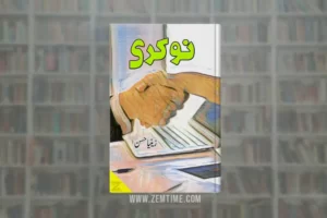 Naukri Novel by Zeenia Hassan