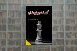 Gumshuda Badshah Novel by AR Rajpoot