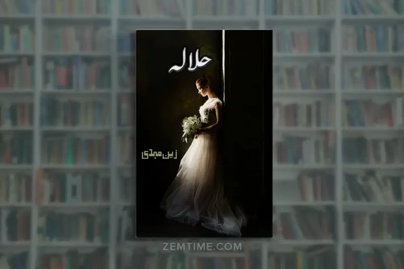 Halala Novel by Zain Mehdi